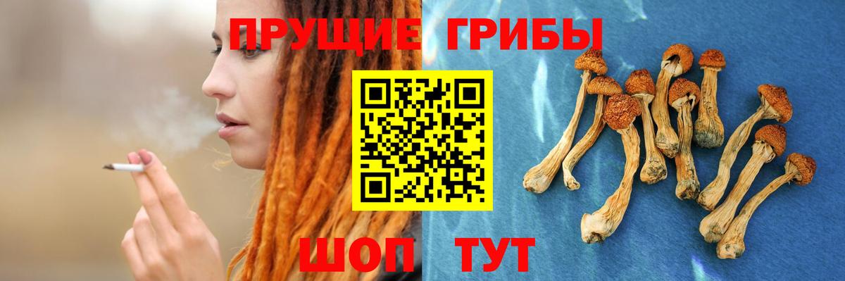 Галлюциногенные грибы GOLDEN TEACHER Орёл