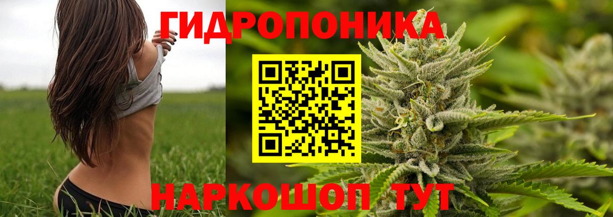 Канабис индика  Каннабис планчик  Орёл  Вход с VPN  Бошки Шишки LSD WEED 